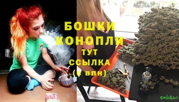 трава Домодедово