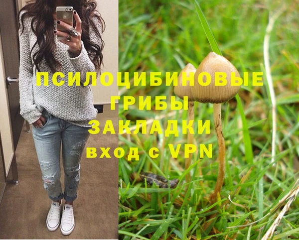 хмурый Майский